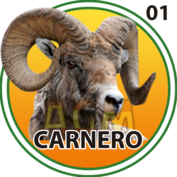 Carnero número 01