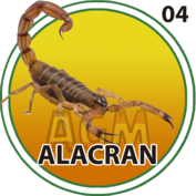 Alacrán número 04