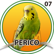 Perico número 07