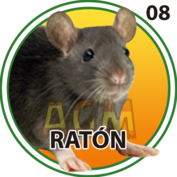 Ratón número 08