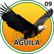 Águila número 09
