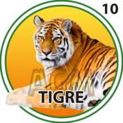Tigre número 10