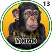 Mono número 13