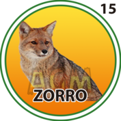 Zorro número 15