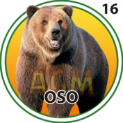 Oso número 16