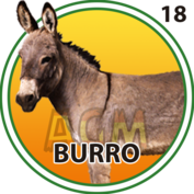 Burro número 18
