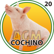 Cochino número 20