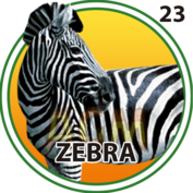 Cebra número 23
