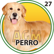 Perro número 27