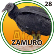Zamuro número 28