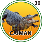 Caimán número 30