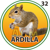 Ardilla número 32