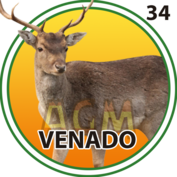 Venado número 34