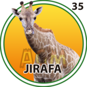Jirafa número 35