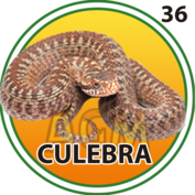 Culebra número 36