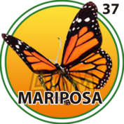 Mariposa número 37