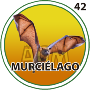 Murciélago número 42