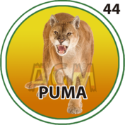 Puma número 44