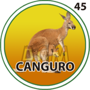 Canguro número 45