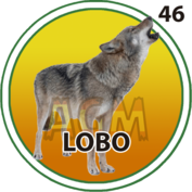 Lobo número 46