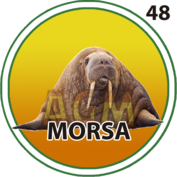 Morsa número 48