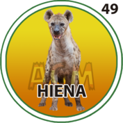 Hiena número 49