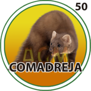Comadreja número 50