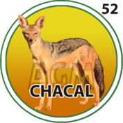 Chacal número 52