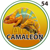 Camaleón número 54