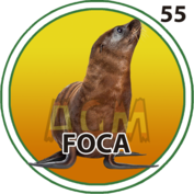 Foca número 55