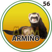 Armiño número 56