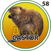 Castor número 58
