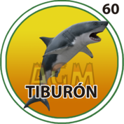 Tiburón número 60