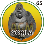 Gorila número 65