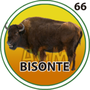 Bisonte número 66