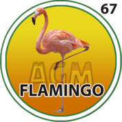 Flamingo número 67