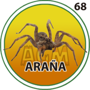 Araña número 68