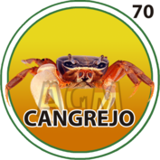 Cangrejo número 70