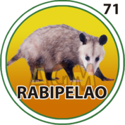 Rabipelao número 71