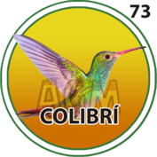 Colibrí número 73