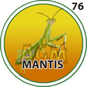 Mantis número 76